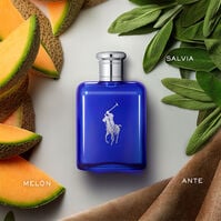 POLO BLUE  125ml-62854 POLO BLUE  125ml-62854 2